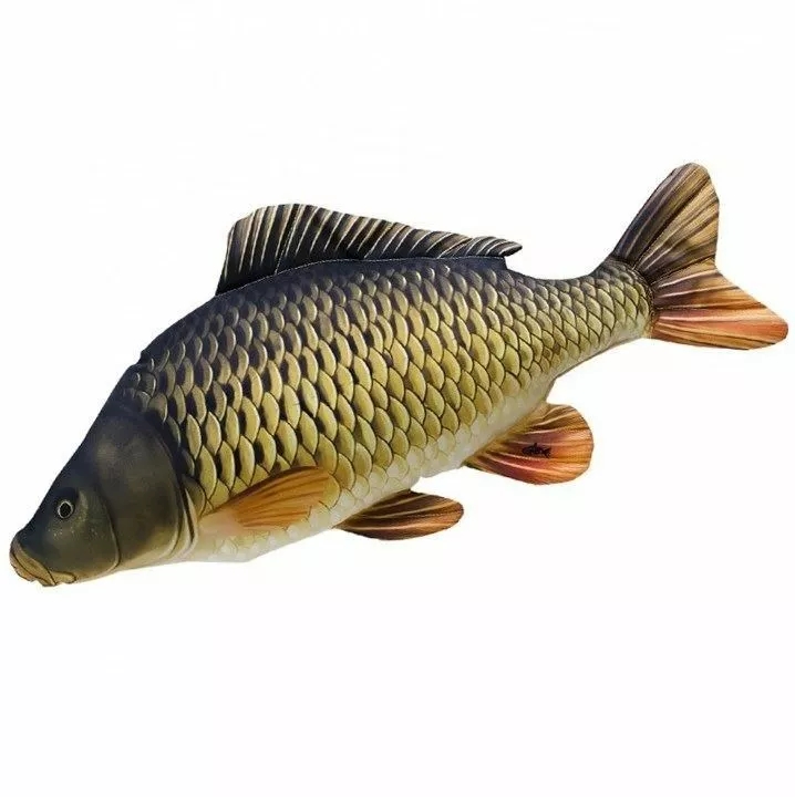 Gaby UK Gaby Common Carp Pillow - Pillows 1 Gaby UK Gaby Common Carp Pillow - Pillows