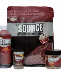 Dynamite Baits The Source Boilies 1kg -
