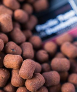 CC Moore Pacific Tuna Shelf Life Dumbells 1kg - Boilies