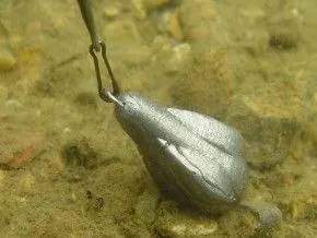 Korda Probe Marker Leads (Twin Pack) - 2 Korda Probe Marker Leads (Twin Pack) - - Image 2