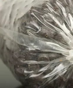 Avid Carp Transfer Solid PVA Bags - -Carp Sales Store 1300820540 PVA Bag tied 05 as Smart