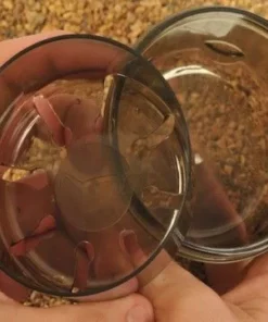 Korda Infuza Glug Pot Large - Glug pots -Carp Sales Store 1394030825 2