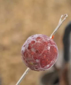 Korda Super Wrap - Pva bags 11 Korda Super Wrap - Pva bags -Carp Sales Store 1400080891 20