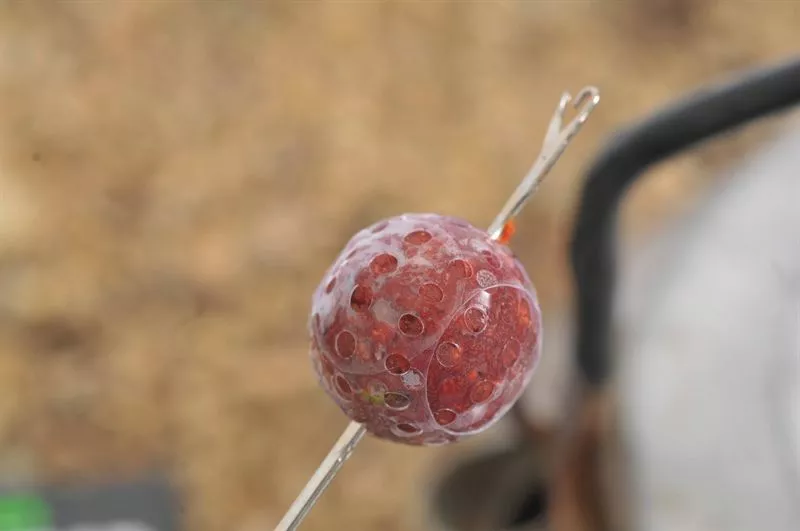 Korda Super Wrap - Pva bags 5 Korda Super Wrap - Pva bags - Image 5