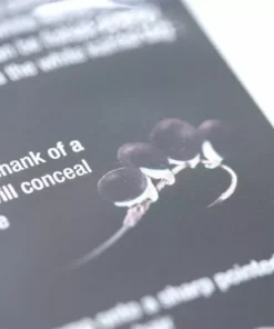 Enterprise Tackle Enterprise Artificial Hemp - Artificial baits 6 Enterprise Tackle Enterprise Artificial Hemp - Artificial baits -Carp Sales Store 1409908622 16