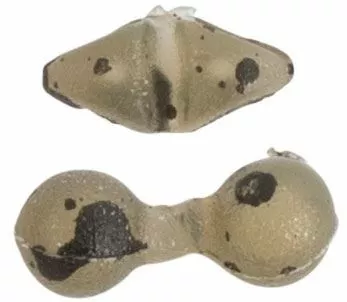 Avid Carp Boilie Stops - Boilie stops & hair stops 2 Avid Carp Boilie Stops - Boilie stops & hair stops - Image 2