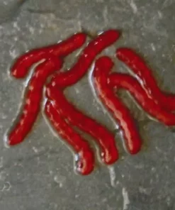 Enterprise Tackle Enterprise Artificial Bloodworms - Artificial baits 5 Enterprise Tackle Enterprise Artificial Bloodworms - Artificial baits -Carp Sales Store 5c3gweiq636668968203186582