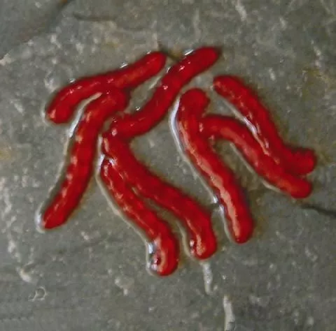 Enterprise Tackle Enterprise Artificial Bloodworms - Artificial baits 3 Enterprise Tackle Enterprise Artificial Bloodworms - Artificial baits - Image 3