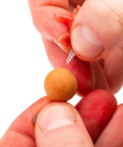 Nash Maggot Screws - Boilie stops & hair stops -Carp Sales Store ccdvwppj637540885501757943