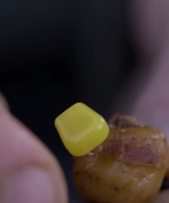 Nash Sweetcorn Screws - Boilie stops & hair stops -Carp Sales Store cej10mpg637540873508795071