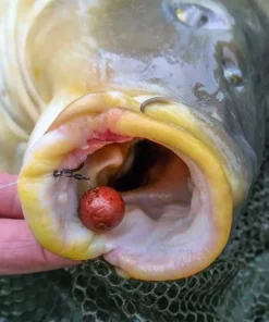 Sonubaits Code Red Boilies - -Carp Sales Store cxpmerl1636600965185375182