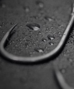 Thinking Anglers Curve Point Hooks - -Carp Sales Store d1gjscek637413964473424365