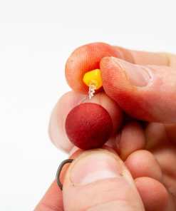 Nash Sweetcorn Screws - Boilie stops & hair stops -Carp Sales Store dzptuzti637540873508795071