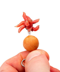 Nash Maggot Screws - Boilie stops & hair stops -Carp Sales Store e4deymp0637540885501757943