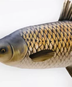 Gaby UK Gaby Grass Carp Pillow - Pillows 5 Gaby UK Gaby Grass Carp Pillow - Pillows -Carp Sales Store fy5tq5ft636918797240728476