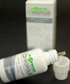 Korda Propolis Carp Care Treatment - -Carp Sales Store g05fl5tt636452351293701335