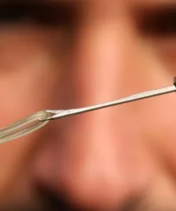 Korda Rubber Beads - -Carp Sales Store hbhhhgg