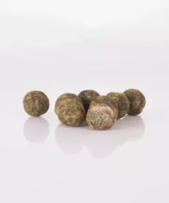 Nash Scopex Squid Cultured Hookbaits - Boilies -Carp Sales Store hnahhz20636263961106004634