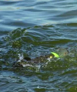 Korda SkyRAIDER & Drop Zone Marker Float Pack - Marker floats & elastic -Carp Sales Store hsgtvho2635975228364232250