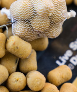 CC Moore Live System Shelf Life Dumbells 1kg - Boilies