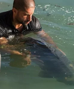 Korda Propolis Carp Care Treatment - -Carp Sales Store j2i4tivm636452351293857583