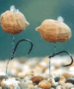 Enterprise Tackle Enterprise Pop Up Tiger Nuts - Artificial baits