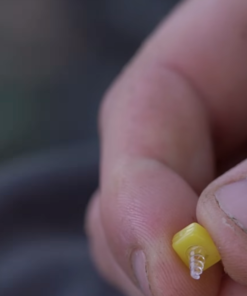 Nash Sweetcorn Screws - Boilie stops & hair stops -Carp Sales Store jzca3c0b637540873508795071