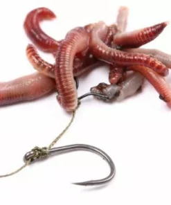 Nash Maggot Clips - Clips & links -Carp Sales Store lq5wsbc1635730741962534383