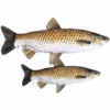 Gaby UK Gaby Grass Carp Pillow - Pillows