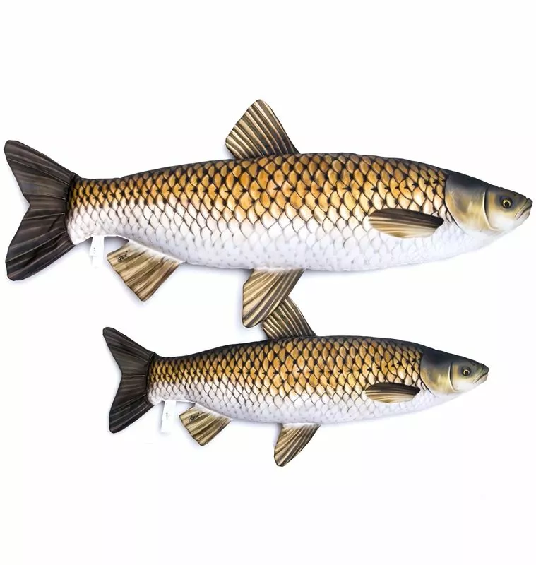 Gaby UK Gaby Grass Carp Pillow - Pillows 1 Gaby UK Gaby Grass Carp Pillow - Pillows