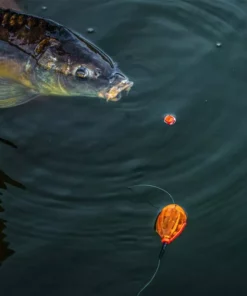 Korum Surface Bombs - Controller & zig floats -Carp Sales Store nwpwy35s637338508841592801