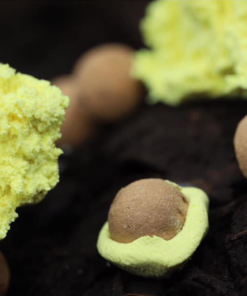 Thinking Anglers Cork Balls - Foam & cork -Carp Sales Store qcurn2nf637417351831959600