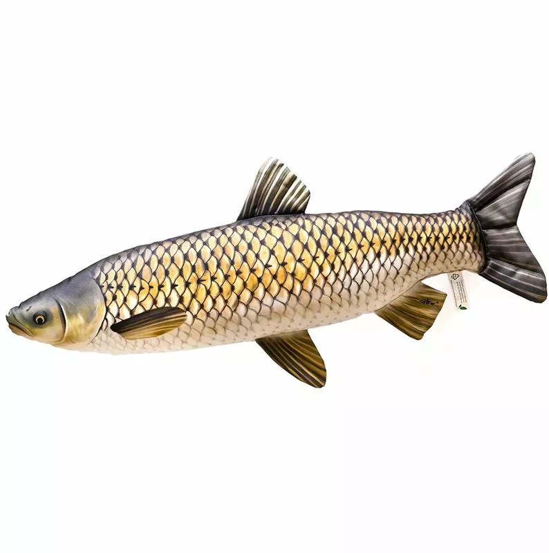 Gaby UK Gaby Grass Carp Pillow - Pillows 2 Gaby UK Gaby Grass Carp Pillow - Pillows - Image 2