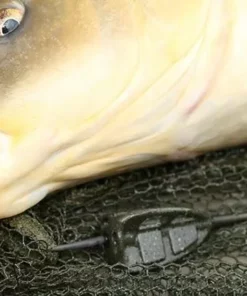 Korda Bait Up Method Feeders - -Carp Sales Store sp1hc5z4635981236112984168