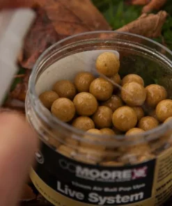 CC Moore Live System Booster Liquid - Booster liquids -Carp Sales Store tbmd3y1t636869675117821864
