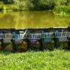 Dynamite Baits Big Fish Boilies 1.8kg -