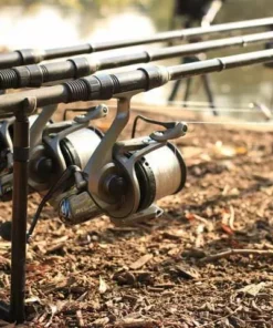 Korda Singlez Aluminium Ball Stabiliser - Stabilisers -Carp Sales Store wfh1w4vw636482452323566074