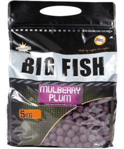 Dynamite Baits Big Fish Boilies 5Kg - -Carp Sales Store yjpcjcoo637528756506300075