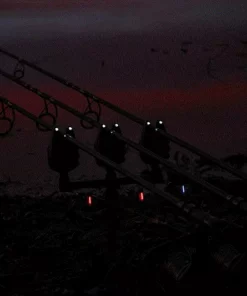 Carp Sales Store -Carp Sales Store ztnvajrx636784882819925103